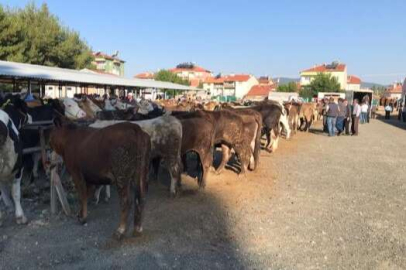 BANAZ HAYVAN PAZARI KAPALILIK KARARI DEVAM EDİYOR